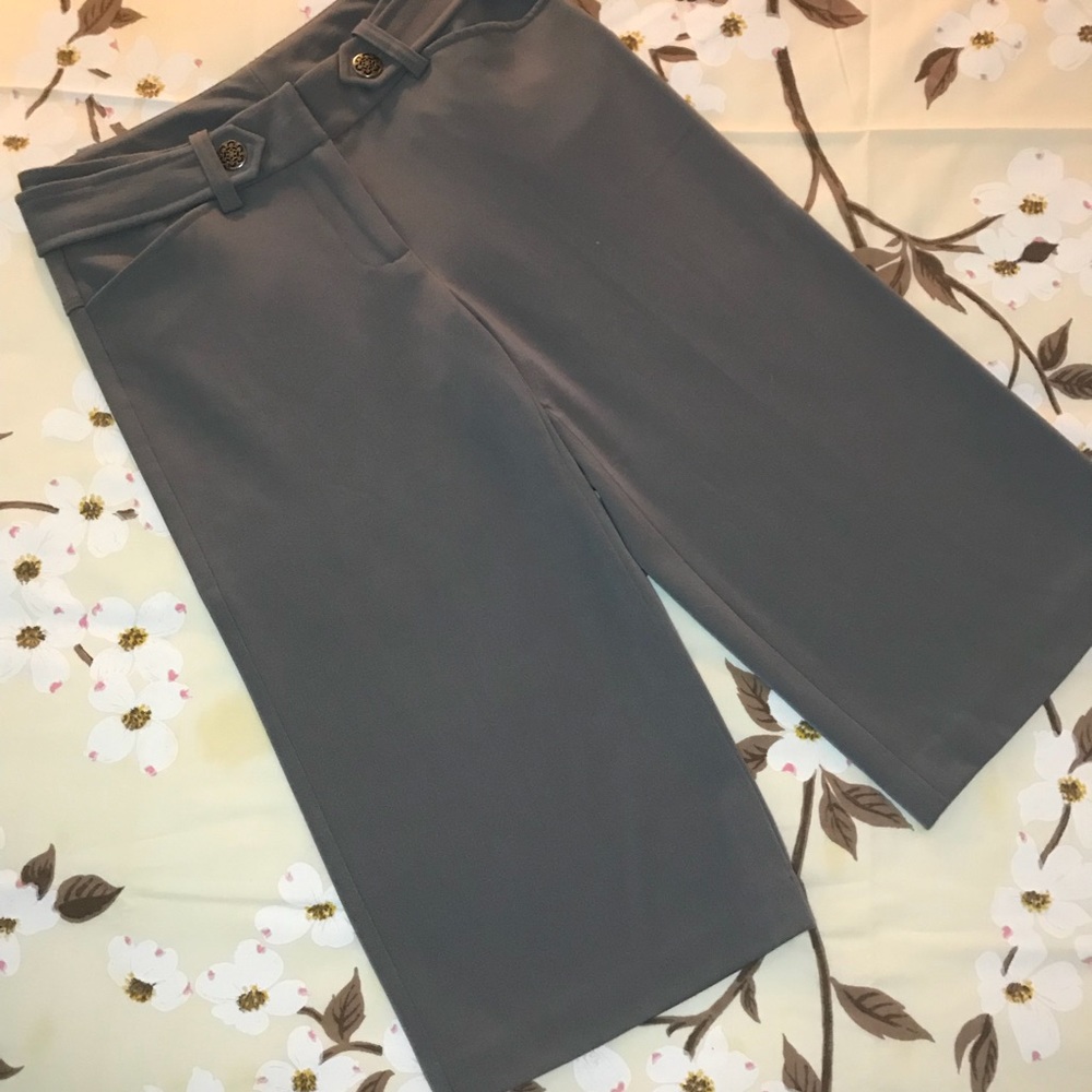 Gorgeous grey gaucho style career pants